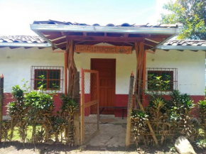 El Higuerón, Jerico